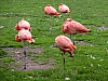 Z-DSCN8921 - (c) K Eutebach.jpg